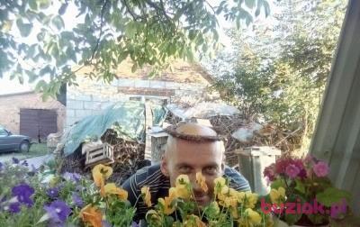 Slawek, Male, 43, Pentyrch, Wielka Brytania, Photo: 3