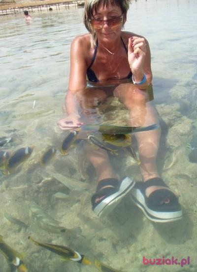 iwona, Female, 60, Kielce, Polska, Photo: 1