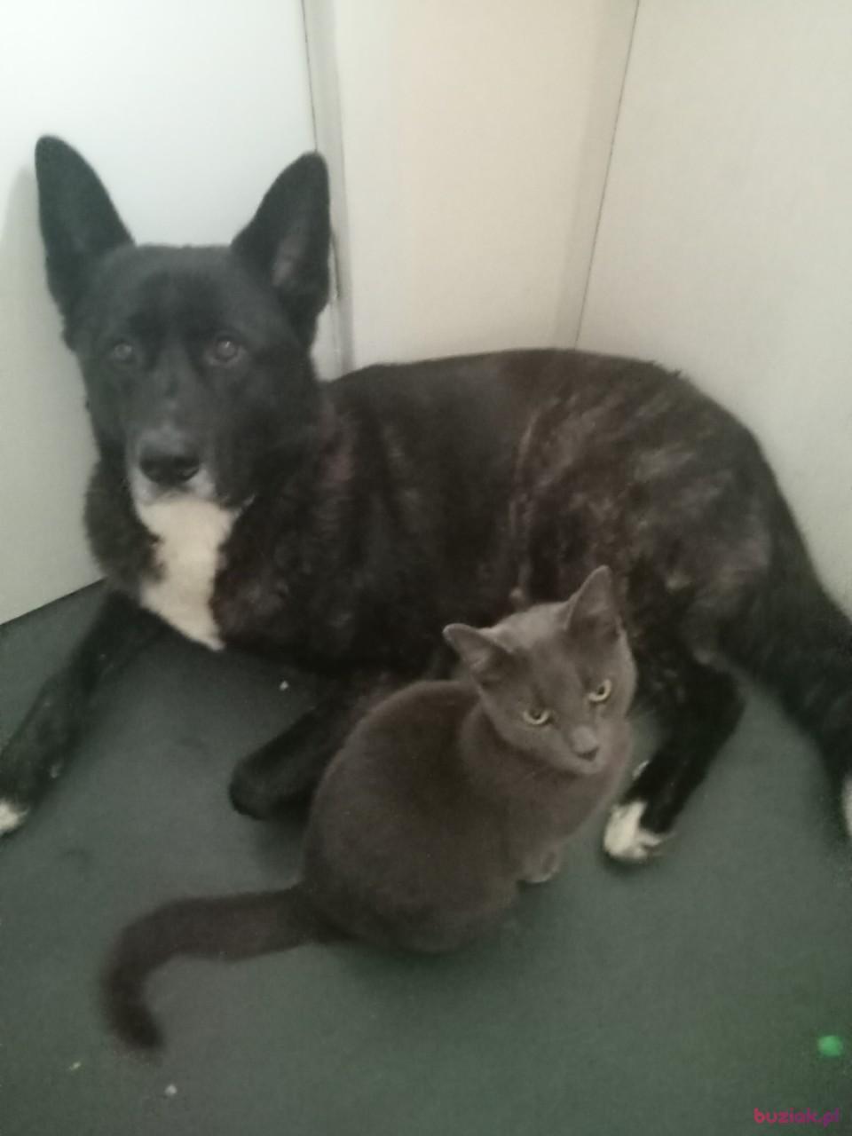 Kat, Female, 40, Wielka Brytania, Photo: 4