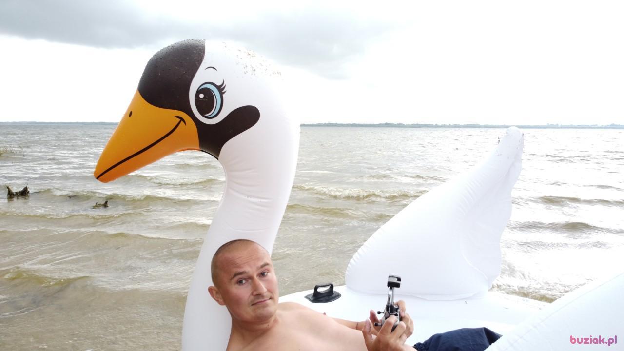 Michał, Mężczyzna, 37, Zgierz, Polska, Zdjęcie: 554