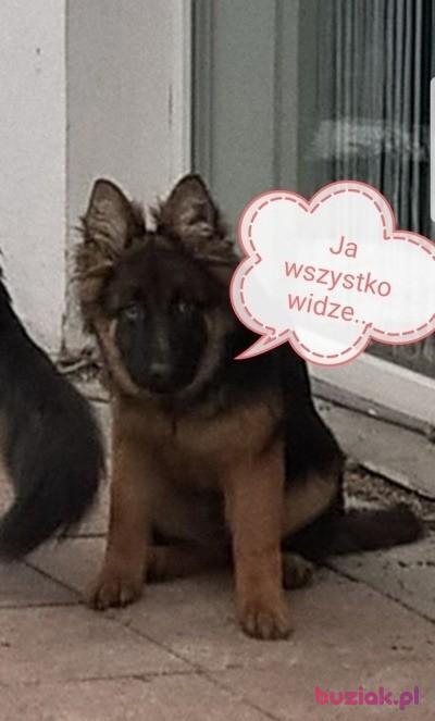 Nikki, Male, 43, Dąbrowa Górnicza, Polska, Photo: 4