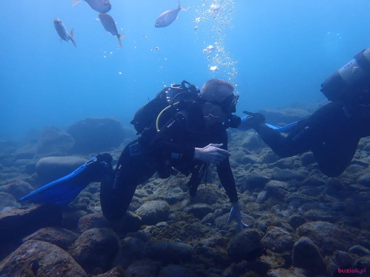 robert, Male, 54, Holandia, Photo: 4