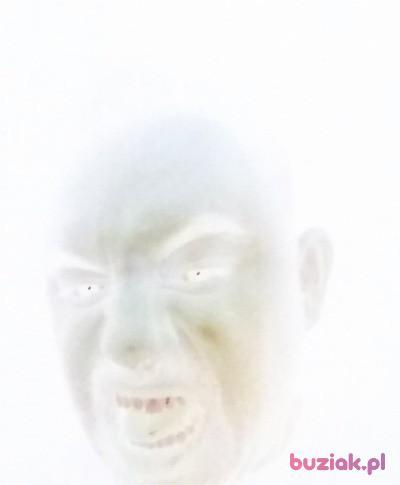 przemo, Male, 45, Łomża, Polska, Photo: 3