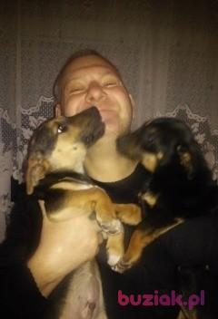 Jacek, Male, 56, Ostrów Mazowiecka, Polska, Photo: 4