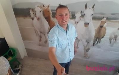 Arek , Male, 46, Oss, Holandia, Photo: 2