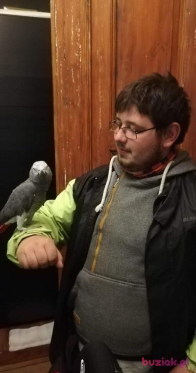Paweł, Male, 28, Wrocław, Polska, Photo: 3