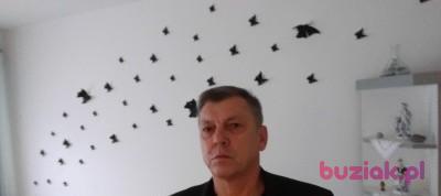 Zygmunt , Male, 63, Darłowo, Polska, Photo: 1