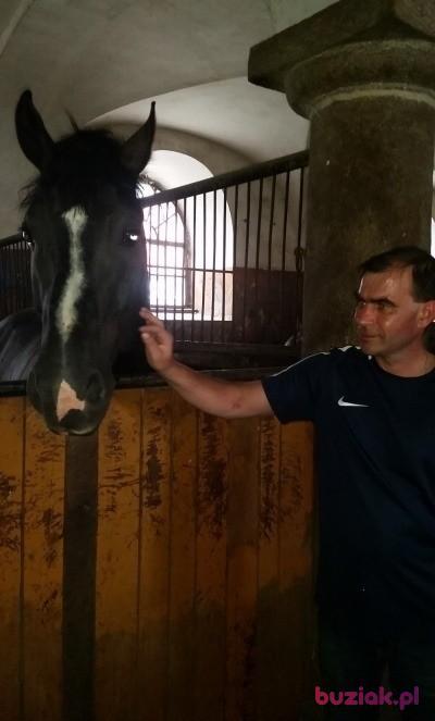 Waldi, Male, 50, Koło, Polska, Photo: 2