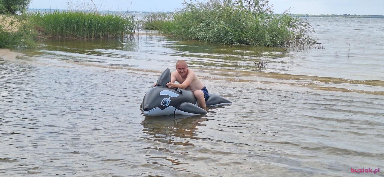 Michał, Mężczyzna, 37, Zgierz, Polska, Zdjęcie: 355