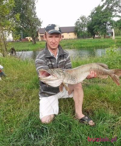 stanisław, Mężczyzna, 46, Chełm, Polska, Zdjęcie: 2