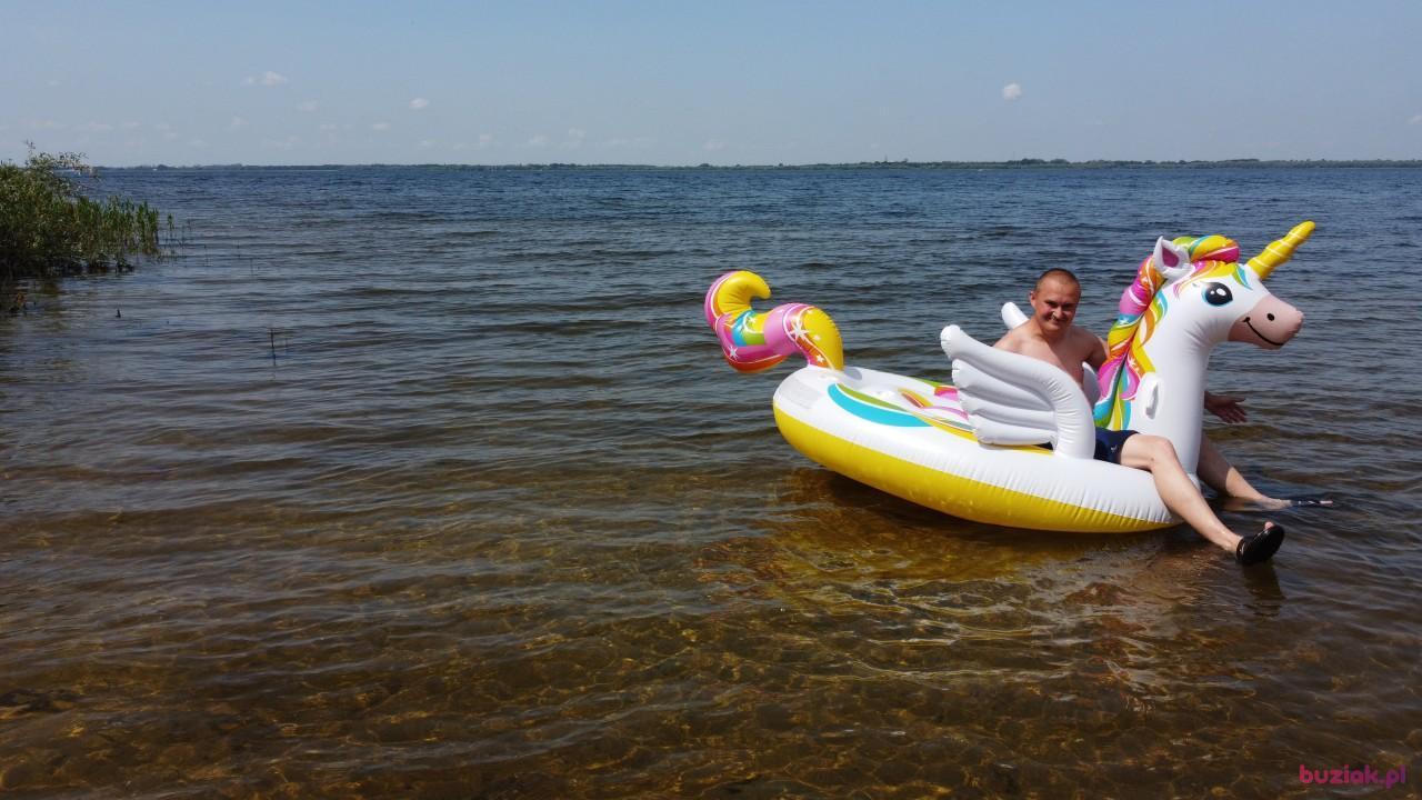 Michał, Mężczyzna, 37, Zgierz, Polska, Zdjęcie: 431