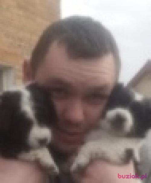 Kris1991, Male, 34 years, Ostrów Wielkopolski