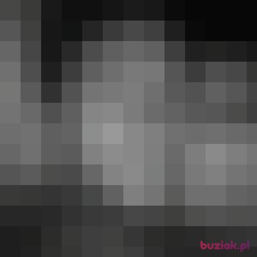 dawidos91, Male, 35 years, Pszczyna