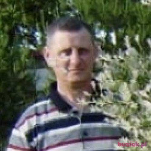 romuald2811, Male, 60 years, Bytów