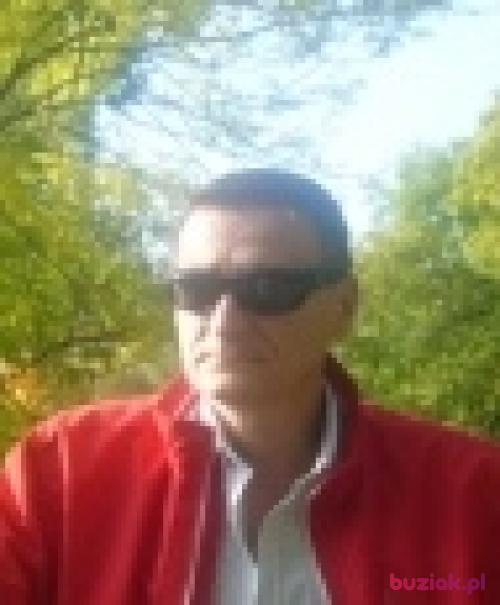 Groomer, Mężczyzna, 56 lat, Walencja