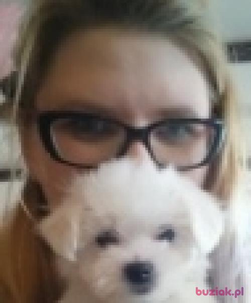 JowitaWik, Female, 36 years, Chojnice