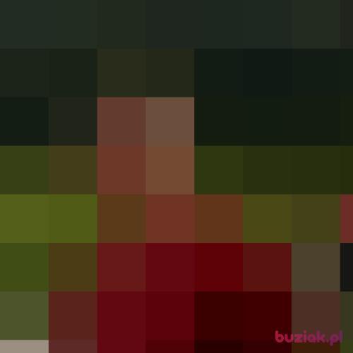 gxxx, Male, 51 years, Busko-Zdrój