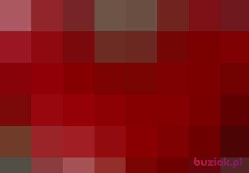 janek4321, Male, 64 years, Siemianowice Śląskie