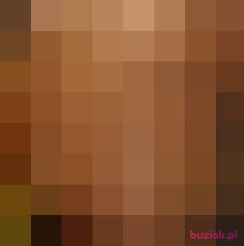 Antek17, Male, 40 years, Gliwice