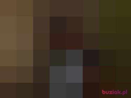 Majkel92, Male, 34 years, Accrington