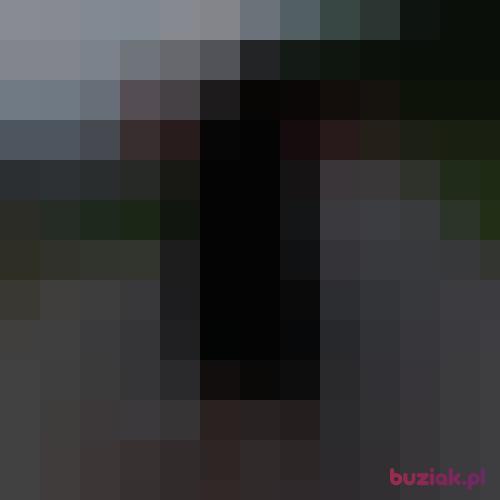 Tofik9108, Male, 33 years, Olesno