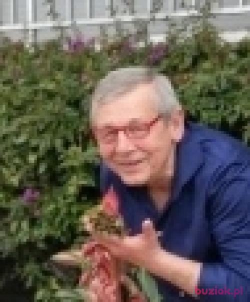 wla, Male, 75 years, łódzkie