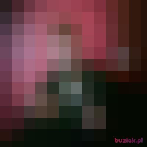 dso, Male, 27 years, Bielsko-Biała