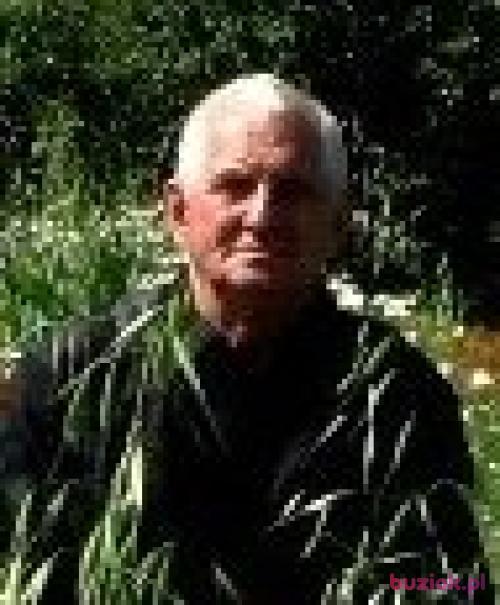 zdzisio24, Mężczyzna, 80 lat, Głogów