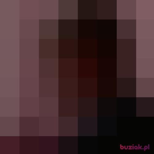Arek2034, Male, 28 years, Gniezno
