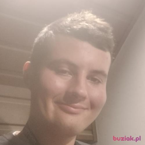 zaj123, Male, 22 years, Iłża