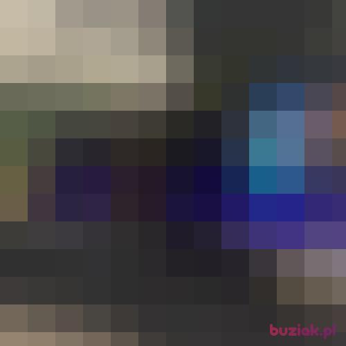 PlmokN12, Male, 51 years, Eindhoven