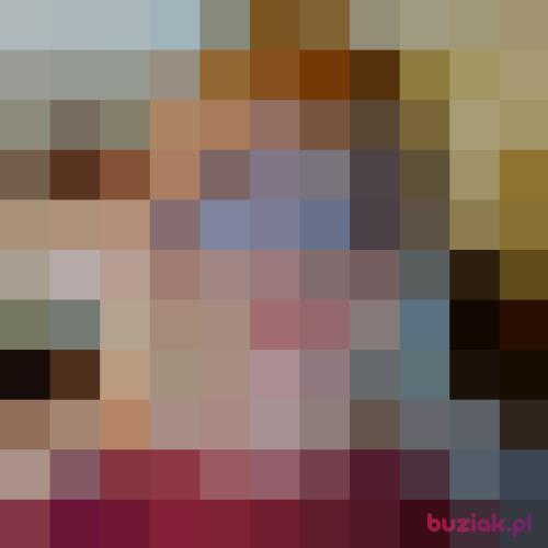 Elizash, Female, 53 years, Chicago