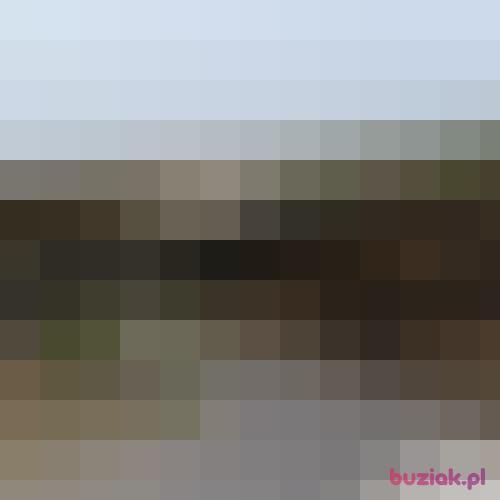 DGL__, Male, 38 years, Amsterdam