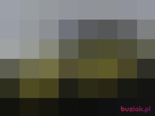 kamill25, Male, 36 years, Haarlem