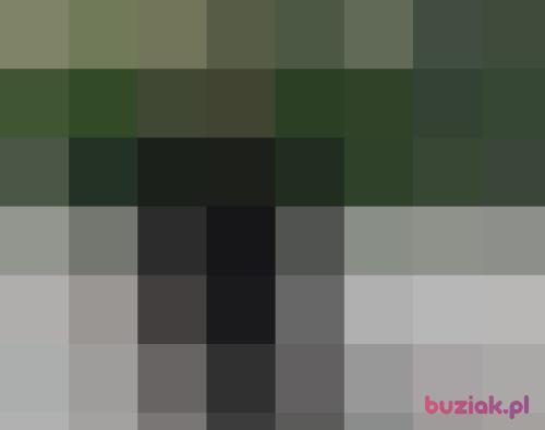 nick61, Male, 65 years, Katowice