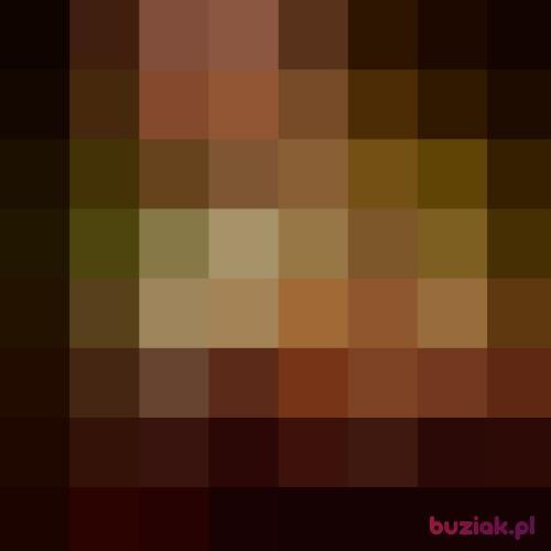 Mauruci, Mężczyzna, 37 lat, Bolków
