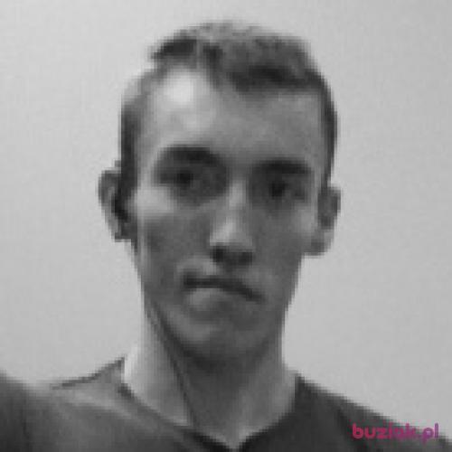 Krzysio31, Male, 29 years, Gliwice