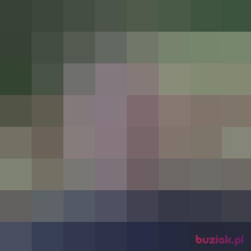 arlequin, Male, 46 years, Lubliniec