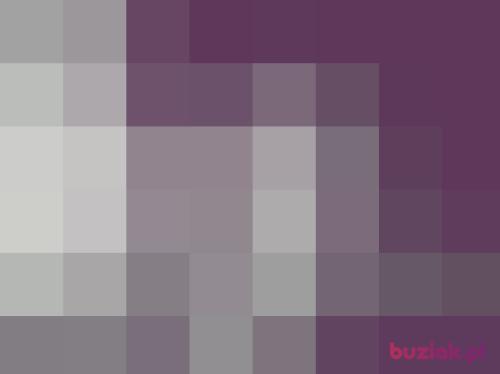 aldonna, Female, 43 years, Leszno