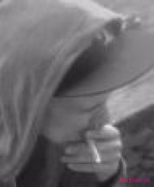 Shiden, Male, 33 years, Leszno