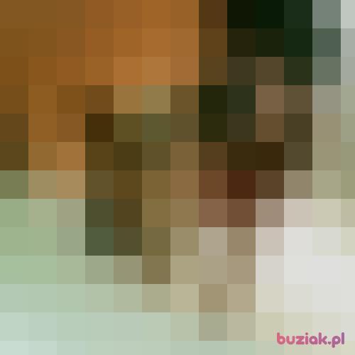 Latina, Female, 35 years, Kwidzyn