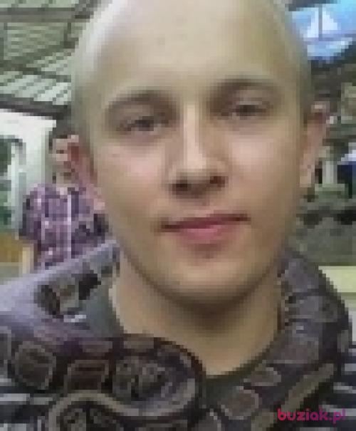karol451, Mężczyzna, 31 lat, Kudowa Zdrój