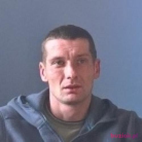 wisnia1984, Male, 42 years, Koło