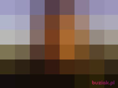 danie1234, Male, 34 years, Pinczów