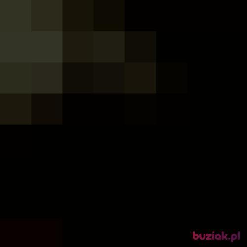 Slodkisseba, Male, 25 years, Gorzów Wielkopolski