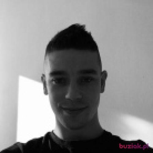 krolik24, Male, 37 years, Dębica