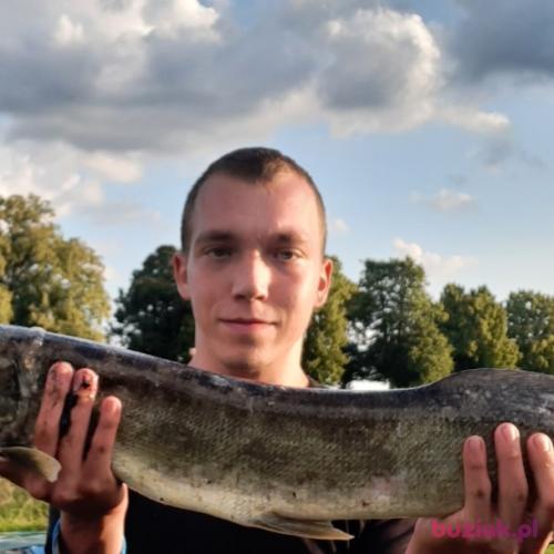 Mateusz2133, Mężczyzna, 27 lat, Oleśnica