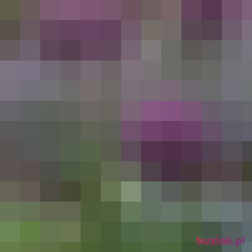 ShouldI, Female, 49 years, Warszawa