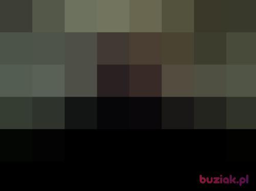 grzegorz8484, Male, 42 years, Bielsko-Biała