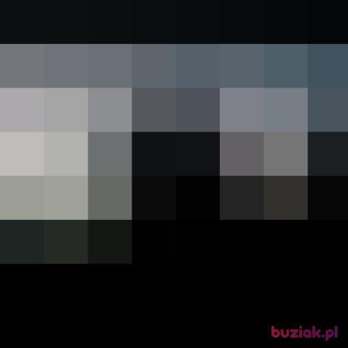 VOLK2115, Male, 26 years, Bytom